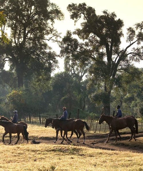 Horsenriding at Deloraine, Naivasha