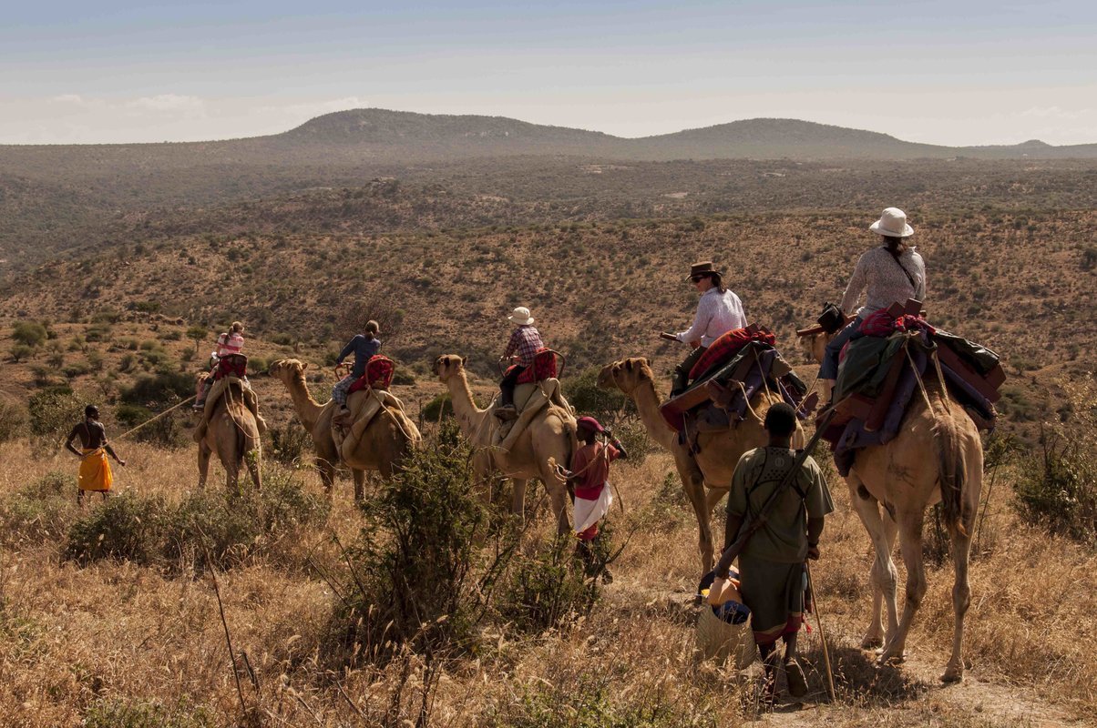 All Safaris and Tours - Collection All Safaris and Tours - Collection