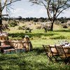 Bush dining set up at Segera Retreat in Kenya