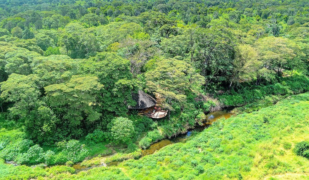 Kitich Forest Camp inside the local forest in Kenya