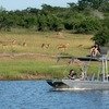 Boat ride safari as you explore wildlife in Magashi