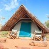 Accommodation set up at Maji Moto Eco Camp in Masai Mara