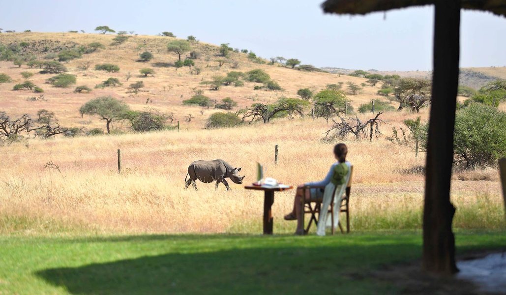 Viewing the rhino and the landscape from the comfort of your room at Kifaru House Laikipia