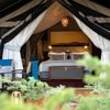 Luxurious tent set up at Mara Expedition Camp