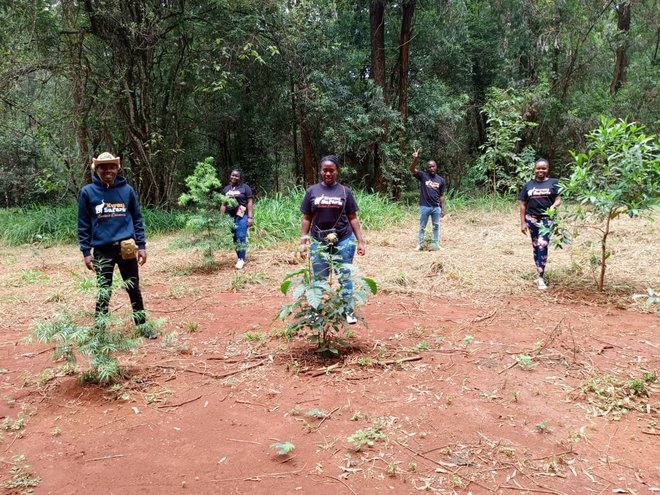 Kwezi Safaris Tree-planting initiative
