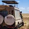 A cheetah taking a vantage point on our safari land cruiser in Serengeti