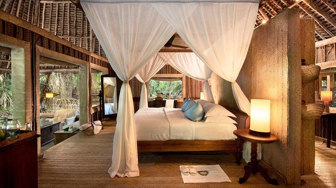 Exploring the Best Luxury Safari Packages in Africa - Collection
