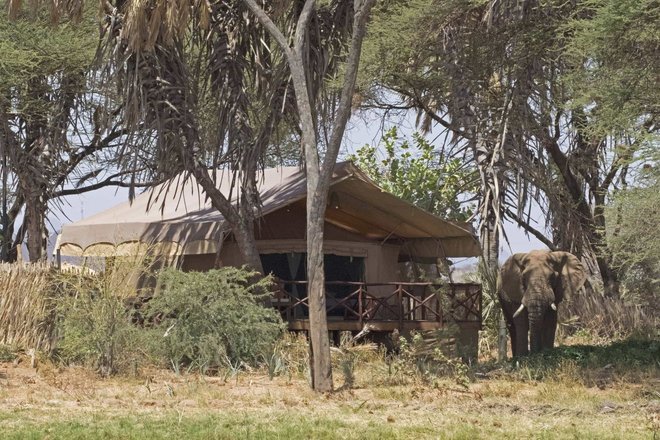 Best Camps and Lodges in Samburu - Collection