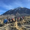Hiking up Africa's tallest mountain, Mount Kilimanjaro in Tanzania