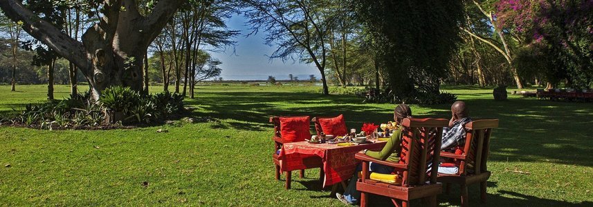 Hotels and Lodges in Naivasha - Collection