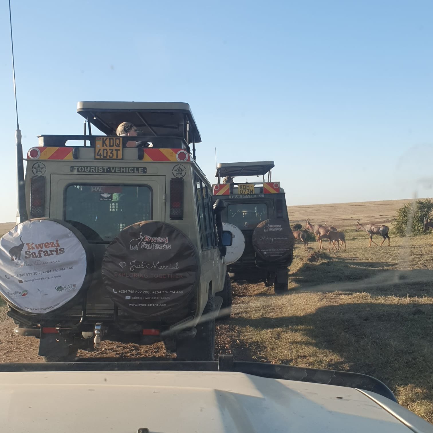 Ultimate Kenya Safari - Tour