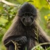 Spotting wildlife on this East Africa Safari