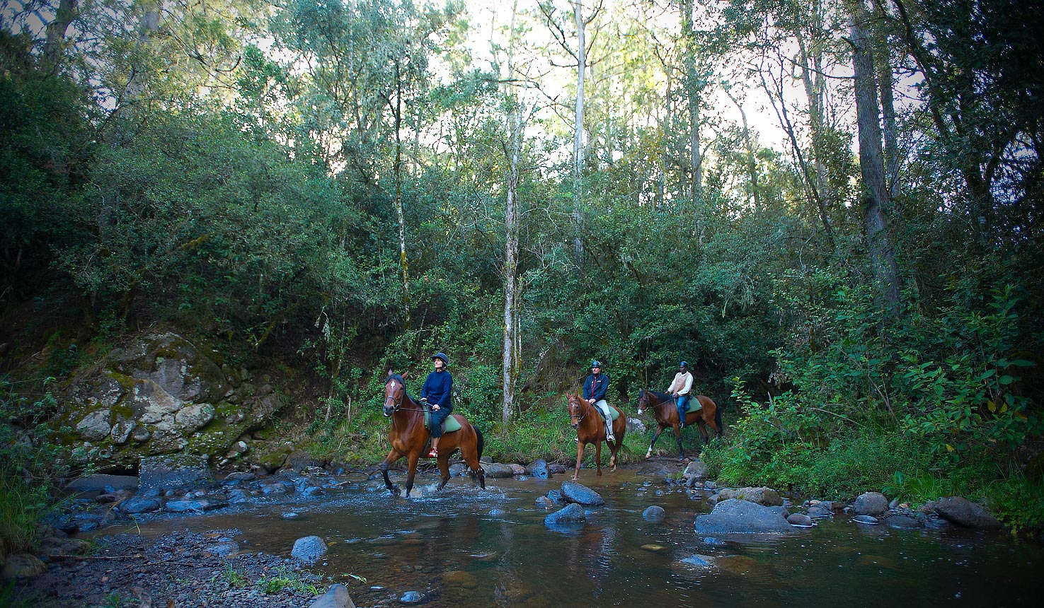 horse ride safari in the highlands of central kenya