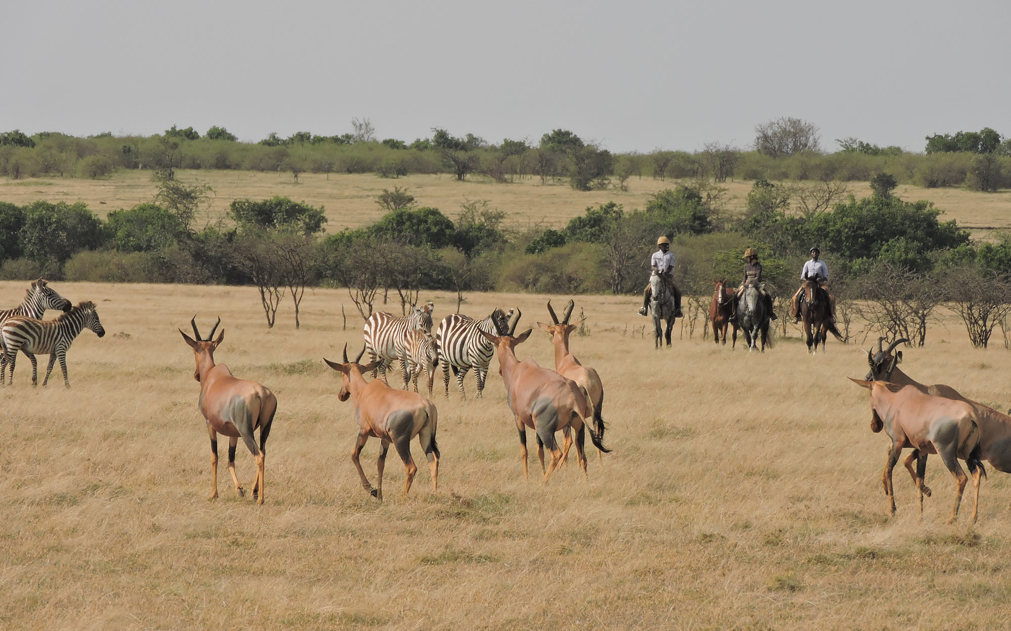 Horse riding safari in Kenya's Maasai Mara
