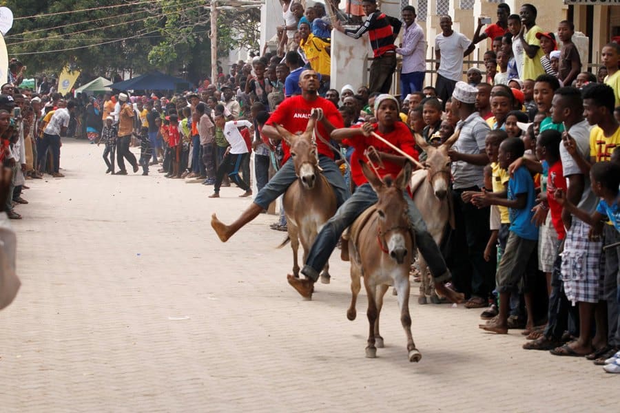 Donkey Racing in Lamu, Kenya's Iconic Cultural Festival