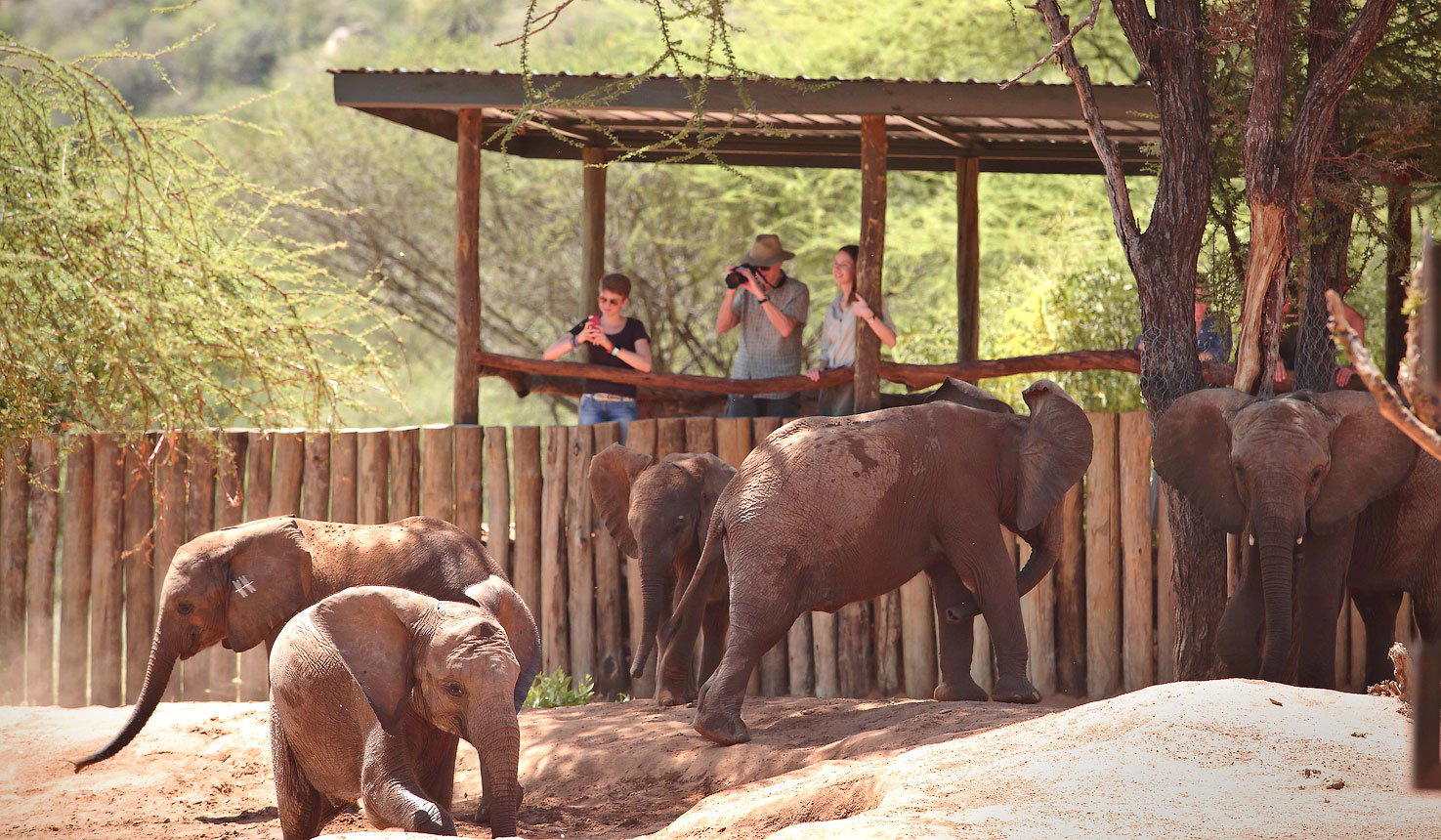 Visitors having a closer view of elephants calf.