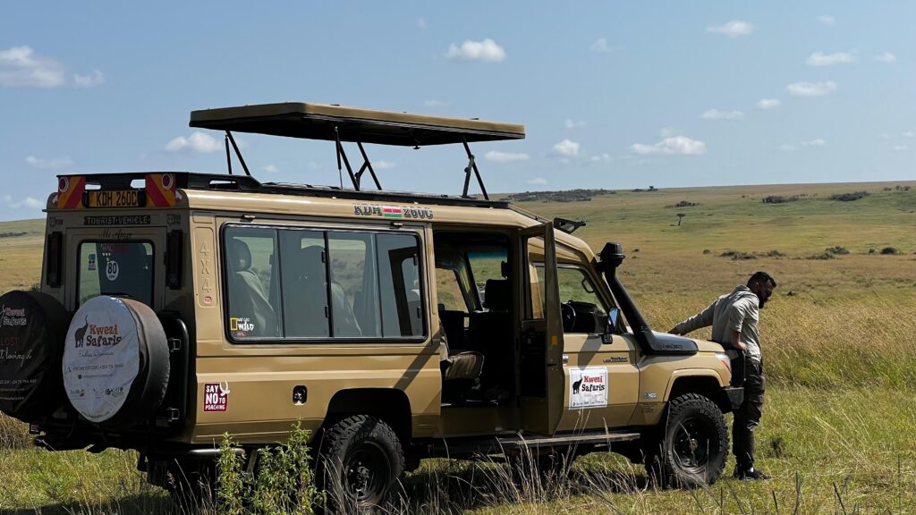 Kenya Wildlife Safari Adventure