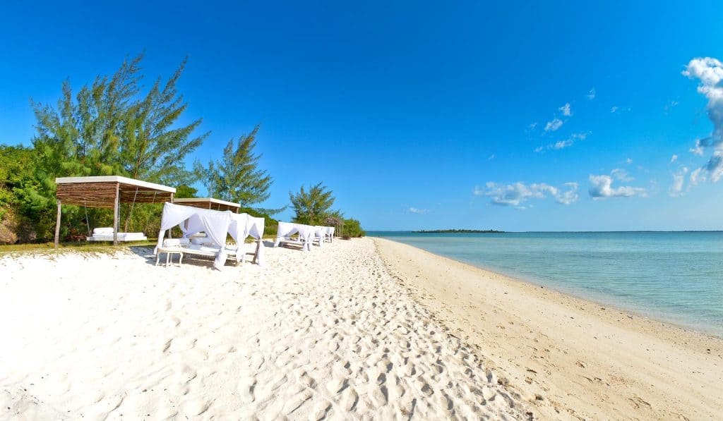 A beautiful view of zanzibar beach.