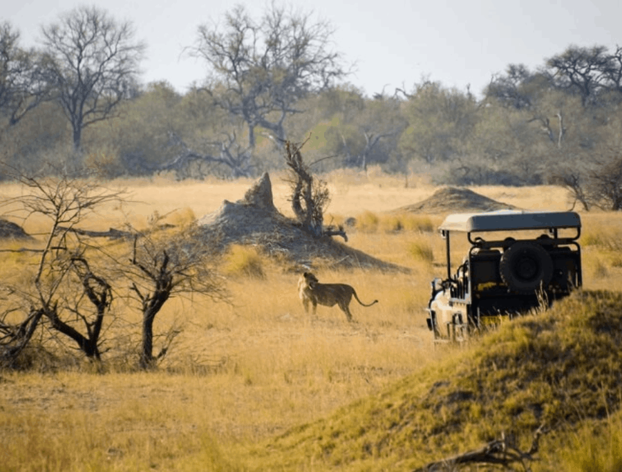 Travelife Partner: Why is Sustainability Important to Tourism?