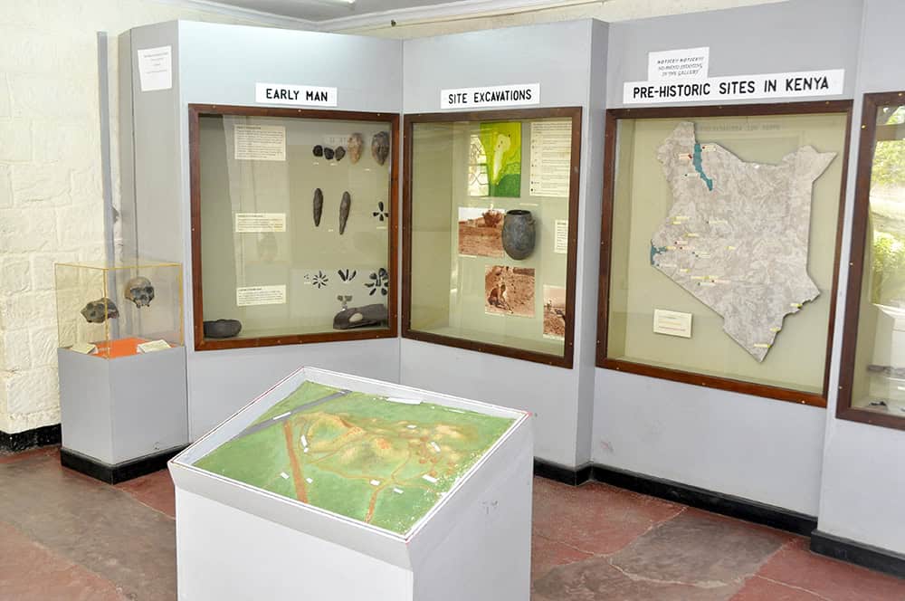 An interior view of Hyrax hill museum.