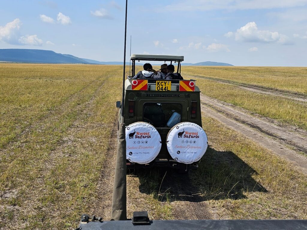 Kwezi Safaris Guest on a game drive in Ngorongoro atop our safari vehicles