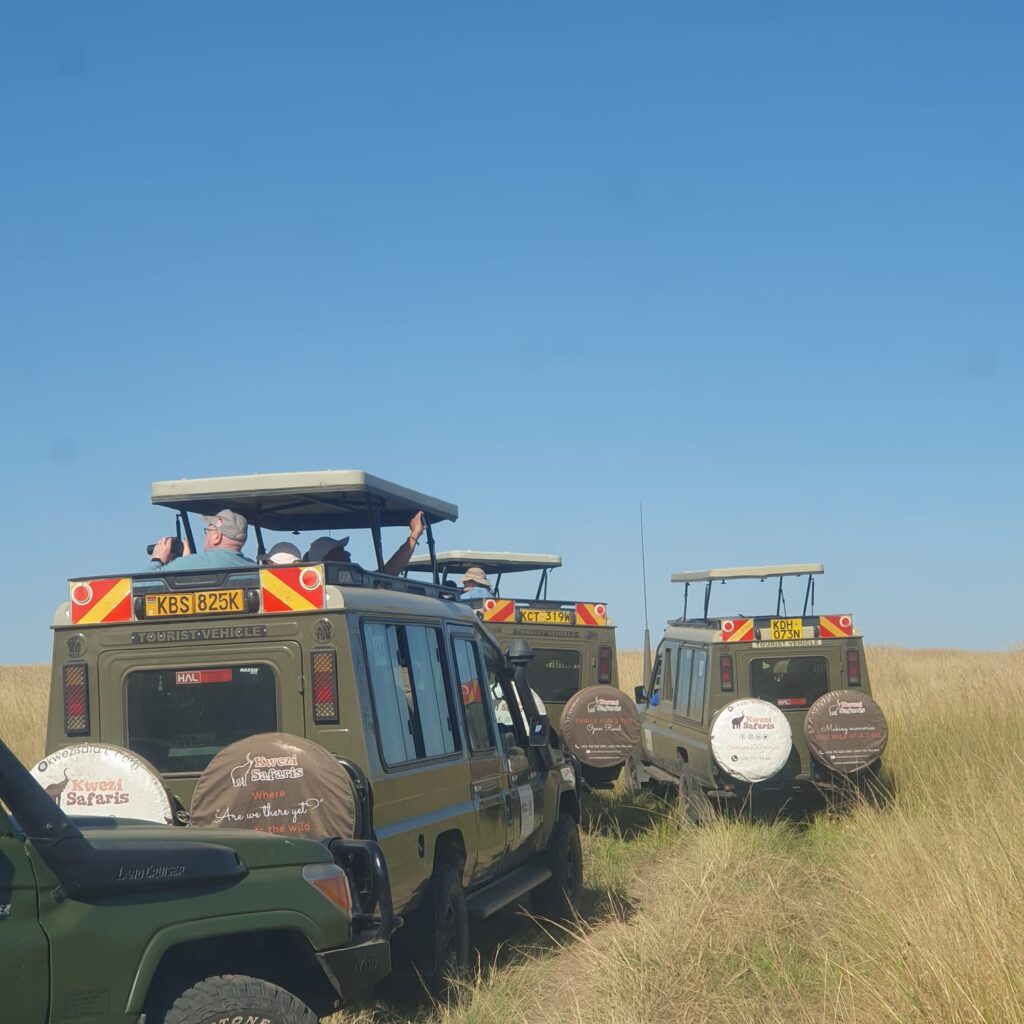 Tourists on a Kwezi Safaris Safari vehicles on a game drive in Serengeti National Park