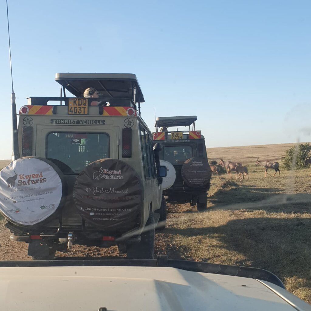 Kwezi Safaris safari vehicles on a game drive in Masai Mara