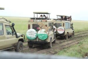 Tanzania Wildlife and Beach Safari