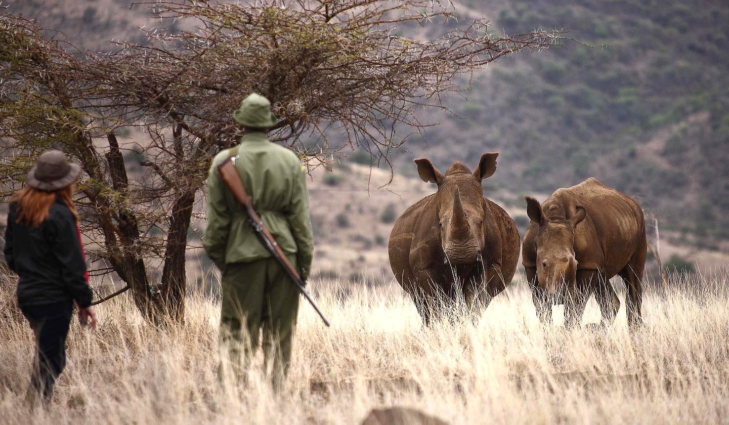 Tracking rhinos on foot at Lewa Wildlife Conservancy