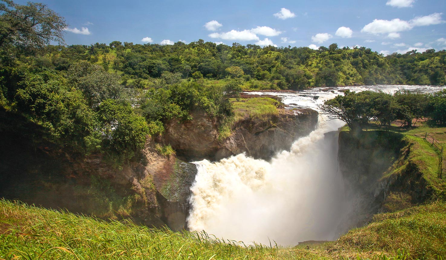 The acclaimed Murchison Falls National Park