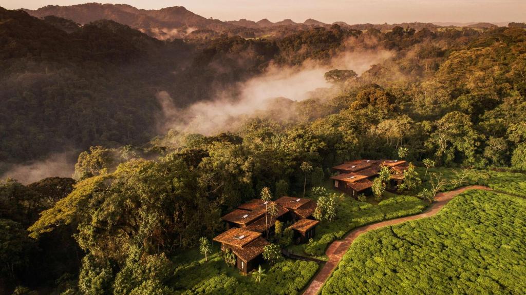 One & Only Nyungwe House, Rwanda