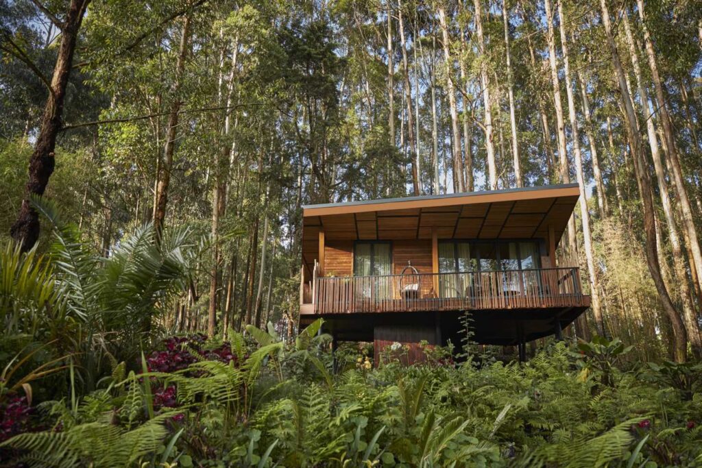 One & Only Nyungwe House, Rwanda