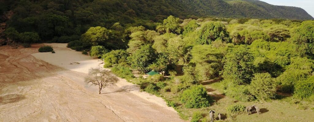 Manyara Green Camp