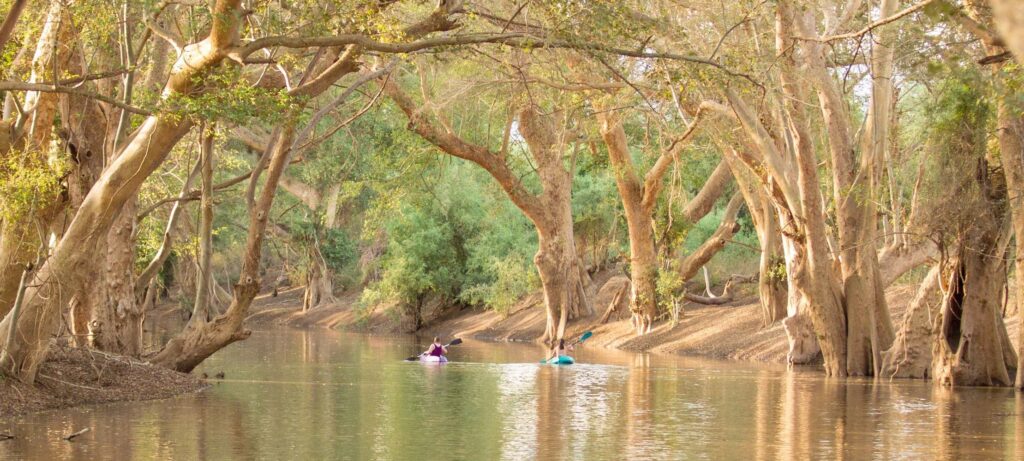 Shompole Wilderness