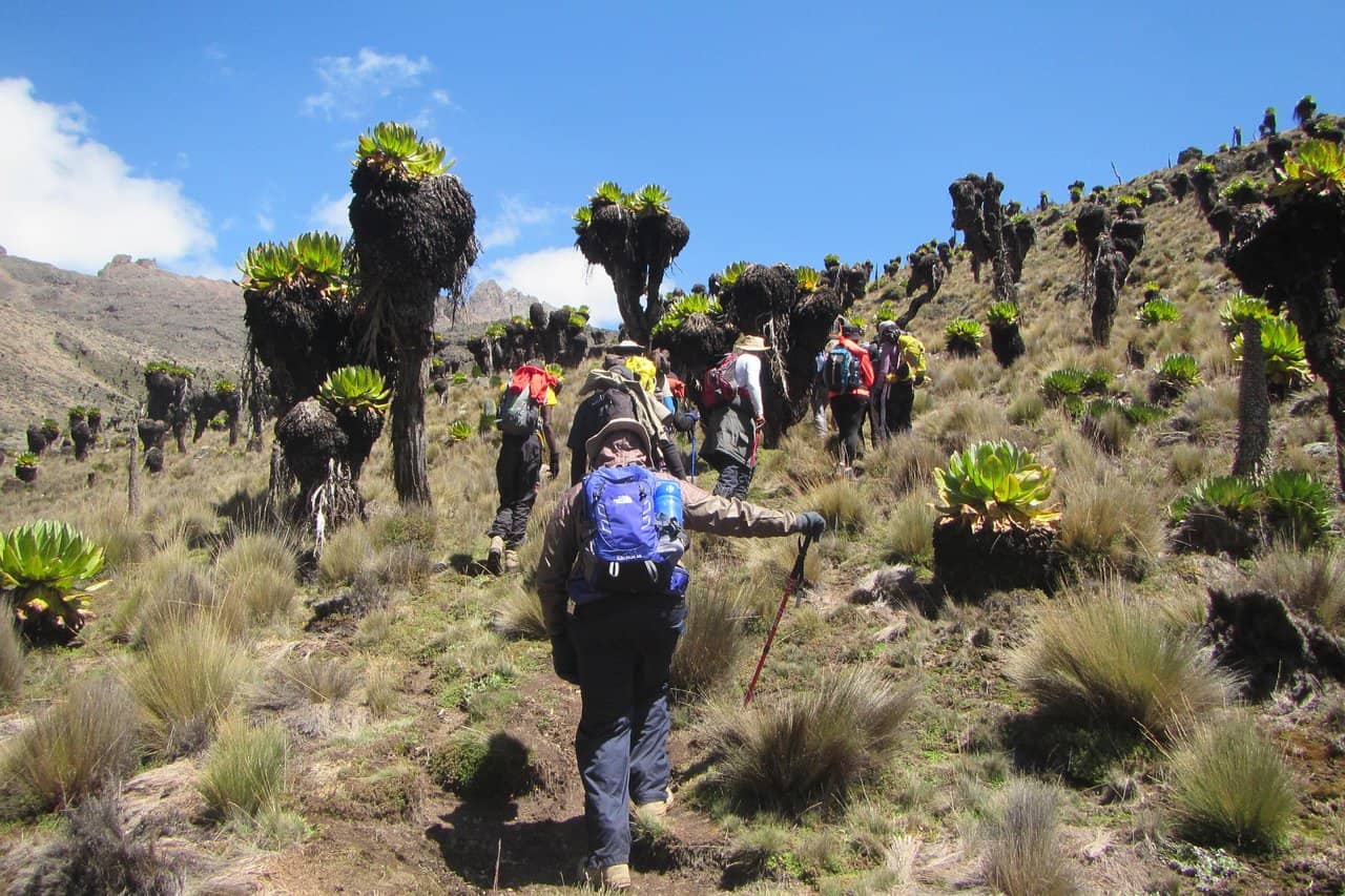 Tourist Hiking Mt Kenya