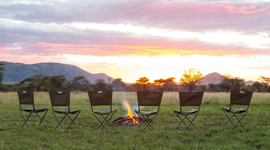 ThornTree Camp