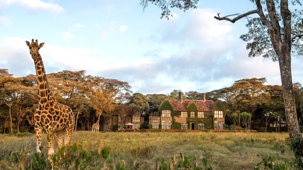 Giraffe Manor | Dine with Giraffes | Nairobi, Kenya