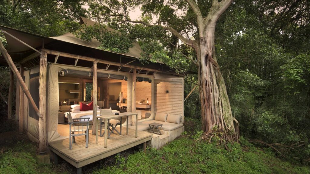 Gorilla Hills Eco Lodge