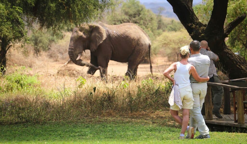 Honeymoon Safaris Africa — luxury bush camp