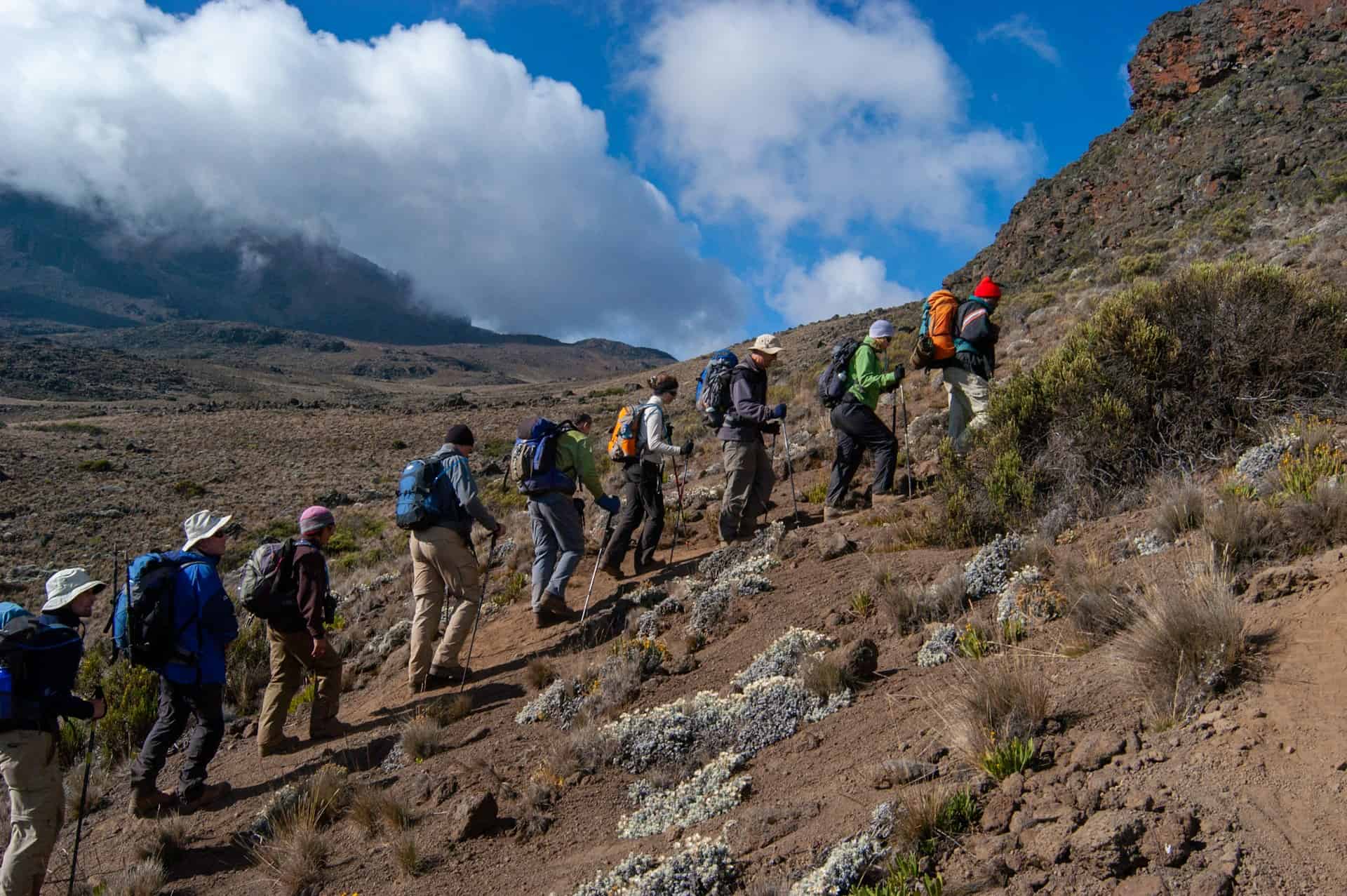 Hikkers climbing Mount Kilimanjaro