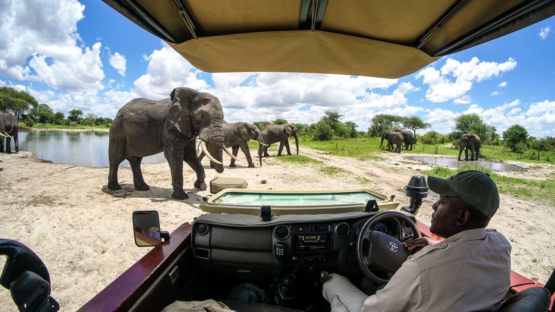 Game Drive in Tanzania on luxury safaris