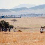 Kenya and Tanzania Safari: Why Most Travelers Choose Wrong