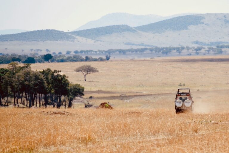 Kenya and Tanzania Safari: Why Most Travelers Choose Wrong