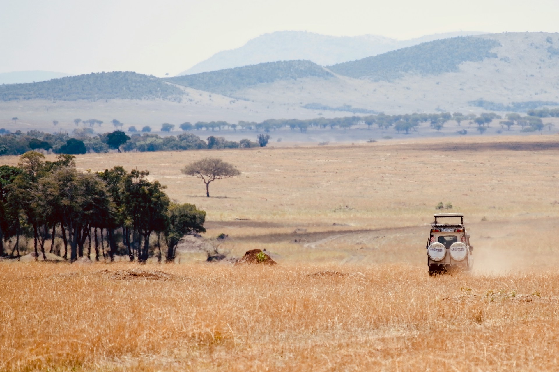 Private safari vehicle on the open plains of the Serengeti-Mara ecosystem, Kenya and Tanzania safari comparison