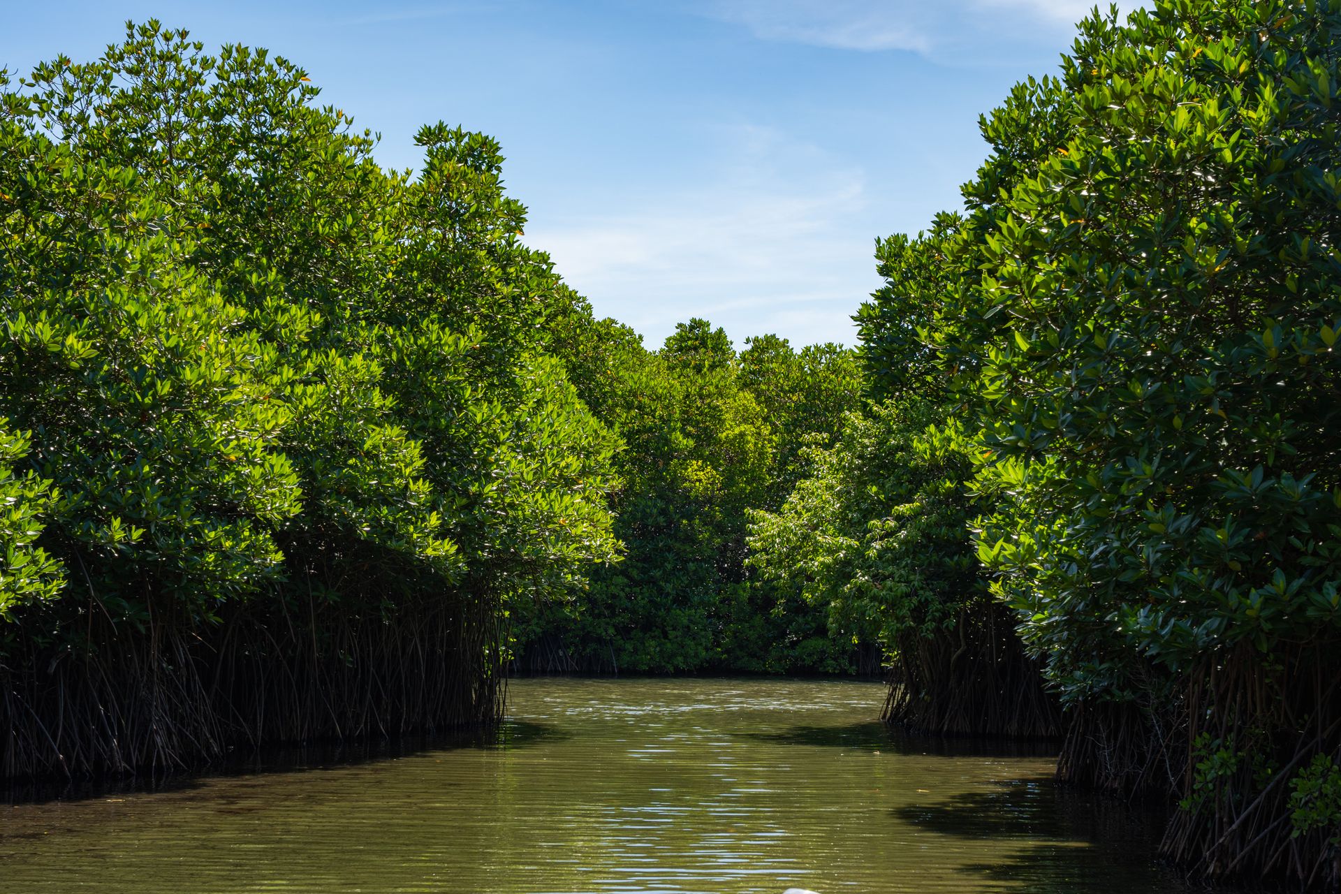 Safeguarding Water, Wetlands & Coastline — Kwezi Safaris