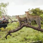 Kenya Private Safari Cost 2026