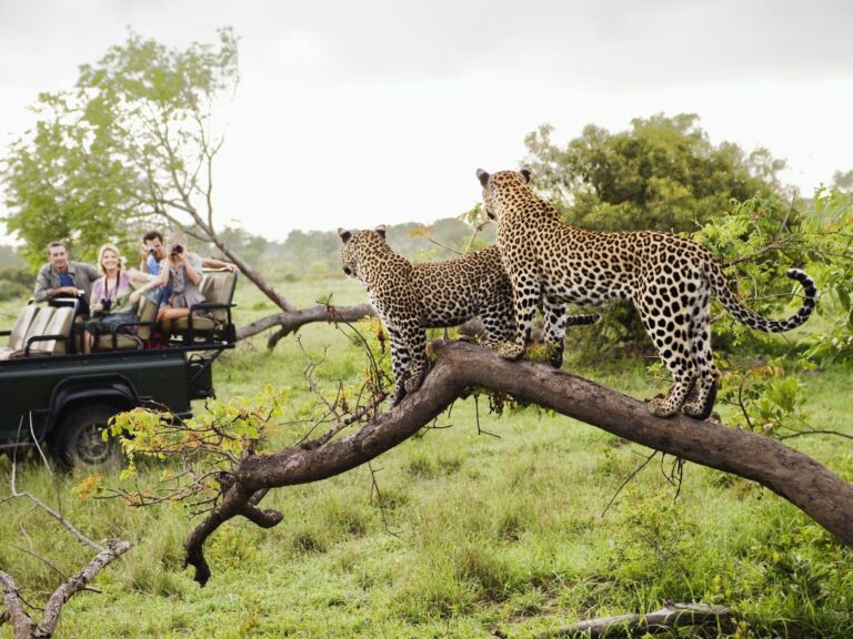 Kenya Private Safari Cost 2026